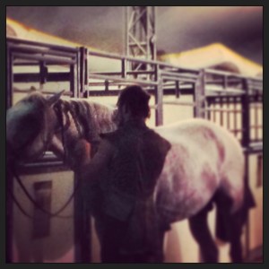 Trainers and performers braid the horses' mane after a post-performance shower...for the horse.
