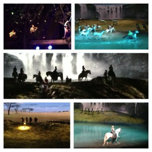 Whisked away on an amazing journey and display of human strength, grace, hope and joy matched by the relationship between horse and trainer and of course the horses themselves.