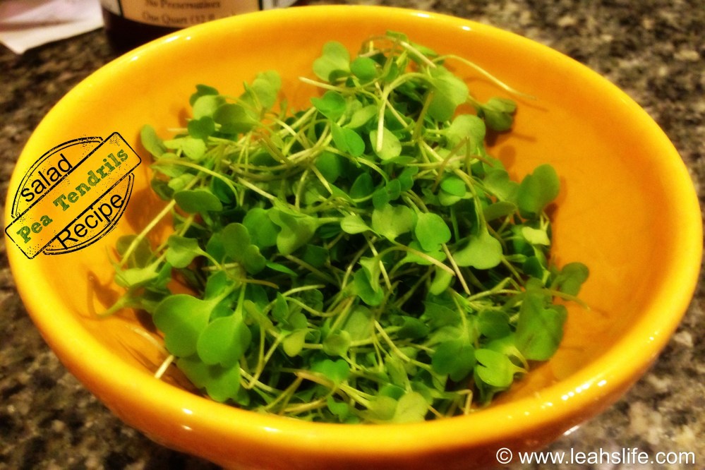 Pea tendrils are such a lovely delicate green.