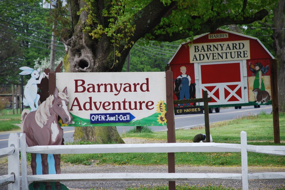 Barnyard Adventure at Harbes Family Farm