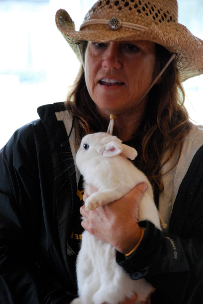 Bunny mascot of the Barnyard Adventure