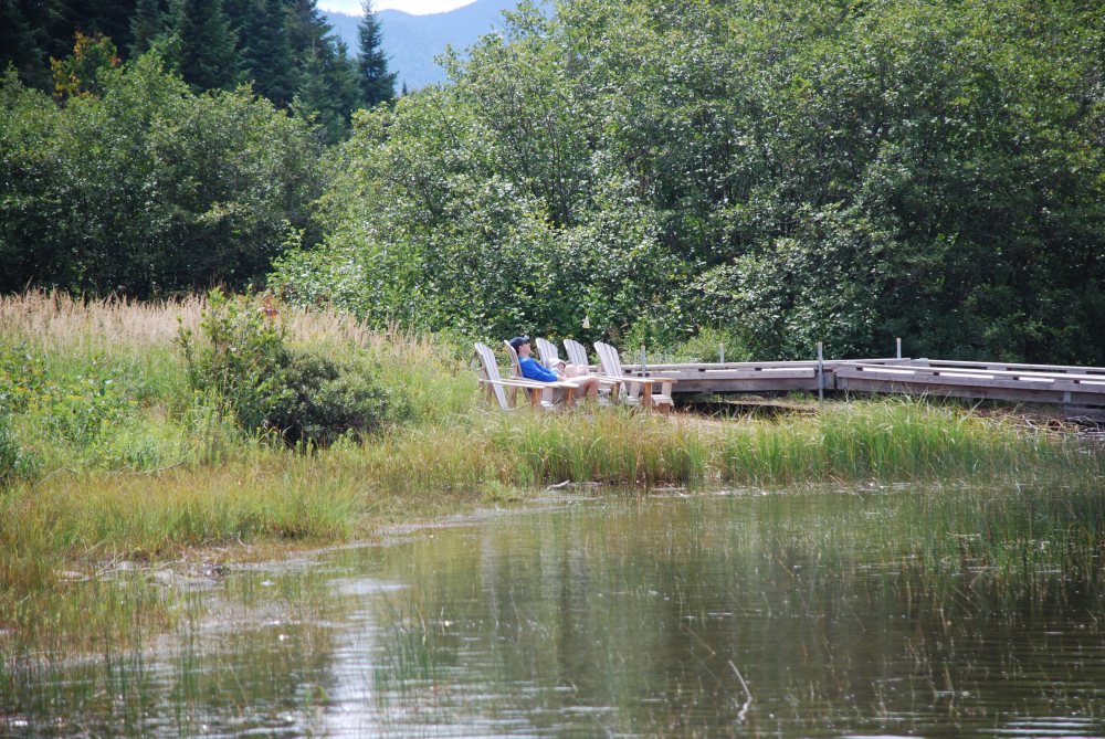 Since we are on vacation in the mountains we have nature's beauty all around us.  Even in the city from a dandelion growing in the sidewalk cracks to the changing feel of the air from day to night.  You can soak in the great outdoors wherever you are.