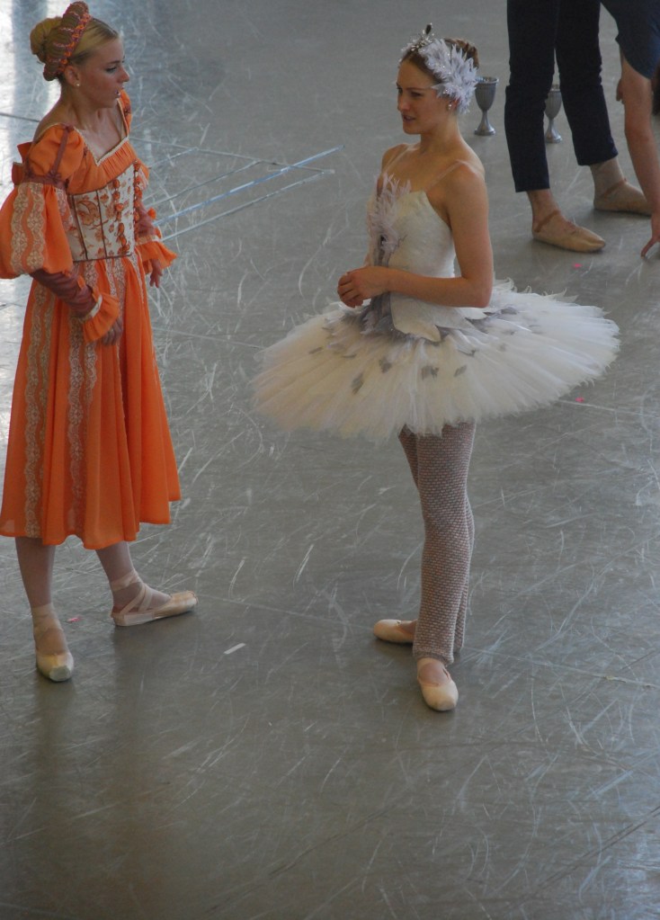 Boston Ballet’s Swan Lake: From Studio to Stage – Leah's Life: Pearls ...