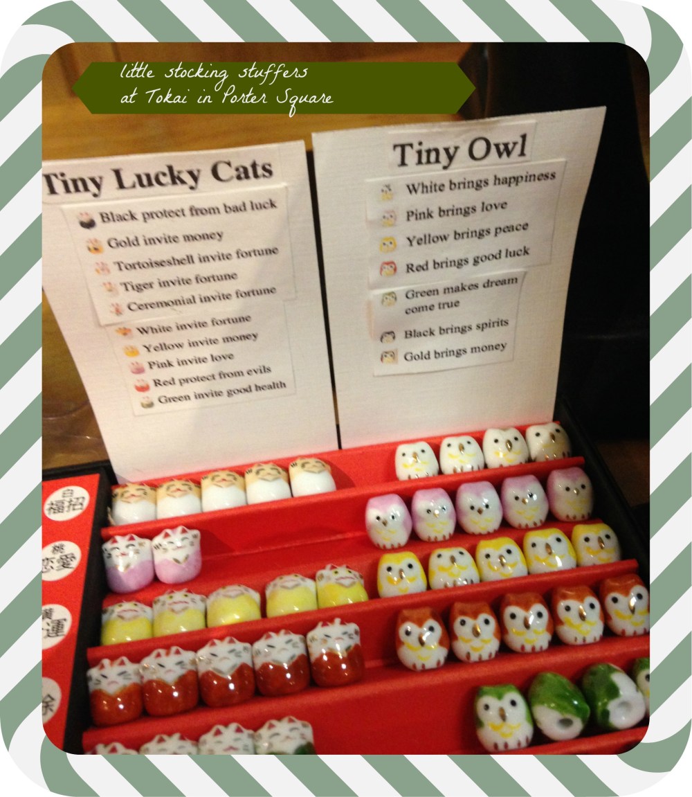 Tokai, Porter Square/Cambridge, MA