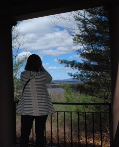 Photographer Lollie Weeks of Fortuitous Housewife. I love how Lollie's photos are crystal clear.  Her closeups are gorgeous. 