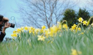 Photographer Alison Borelli of Alison Borelli Photography captured some amazing shots.  