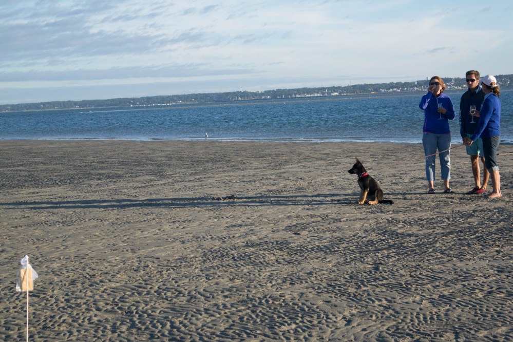 Plenty of space to wander, chat, listen to music or simply listen to the water lapping nearby.