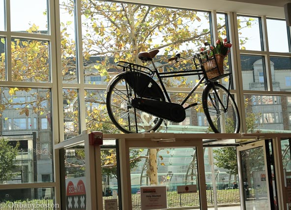 Amsterdam Falafel Shop, Fenway, Boston, MA