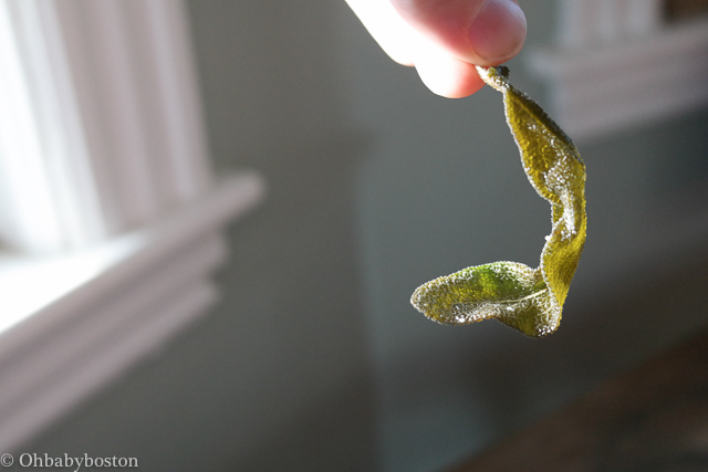 Perfectly crisp and mellowed sage leaf. 