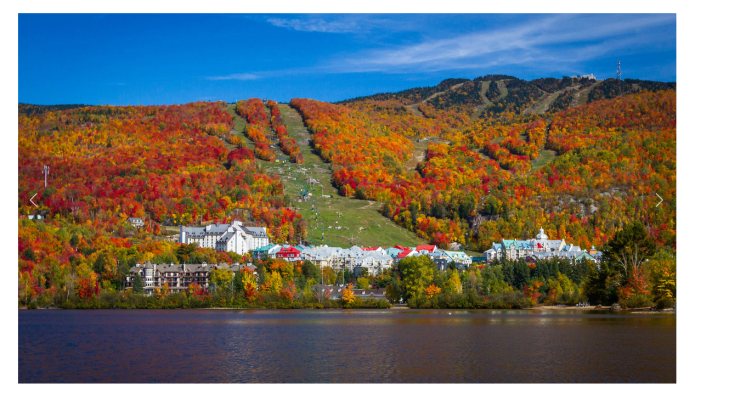 Screen Shot 2017-10-17 at 1.41.32 PM